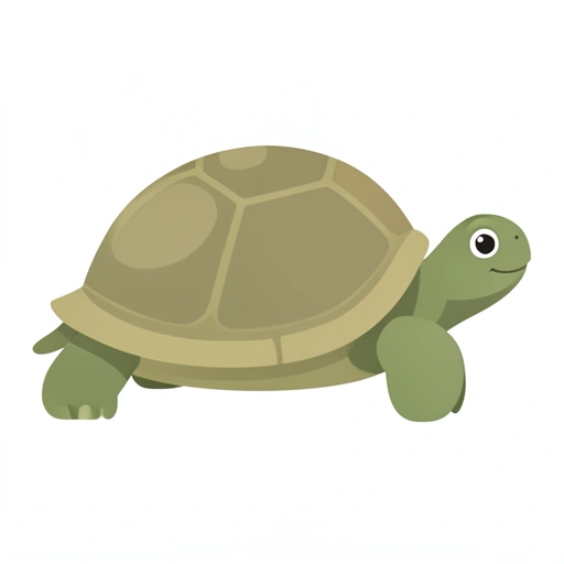 Galápagos Tortoise